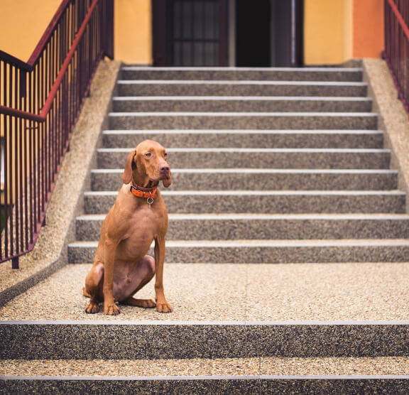 Stone carpet example exterior